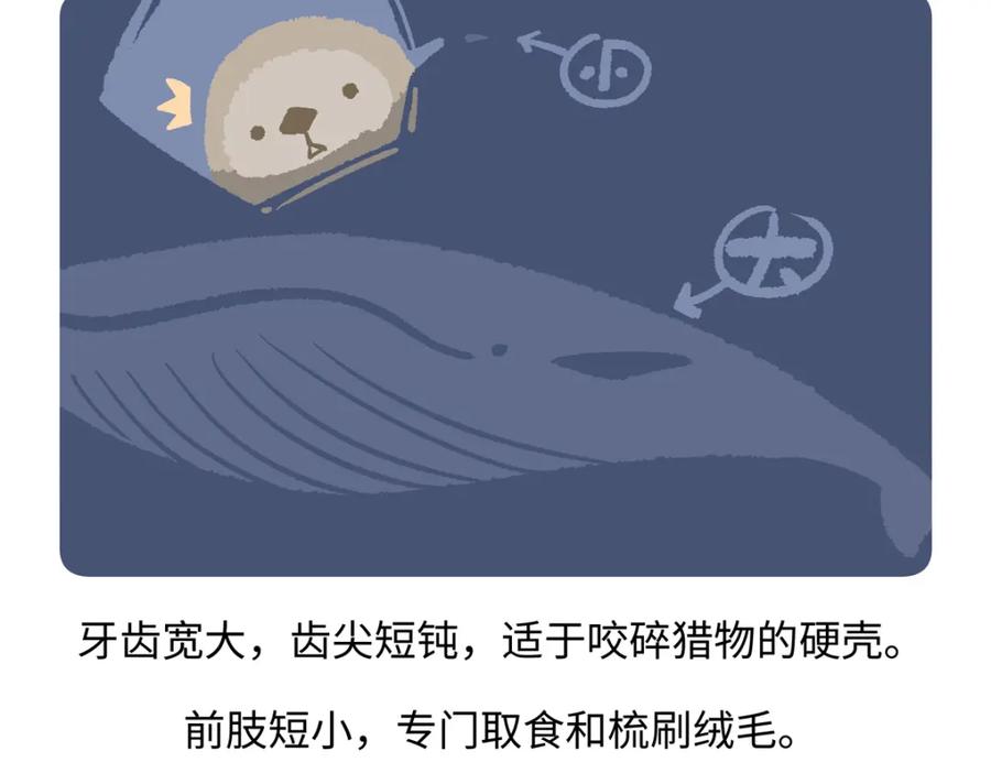《胖达x胖达》第204话 第22页