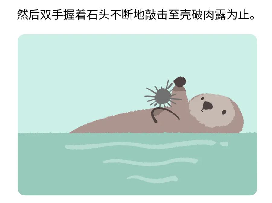 《胖达x胖达》第205话 第26页