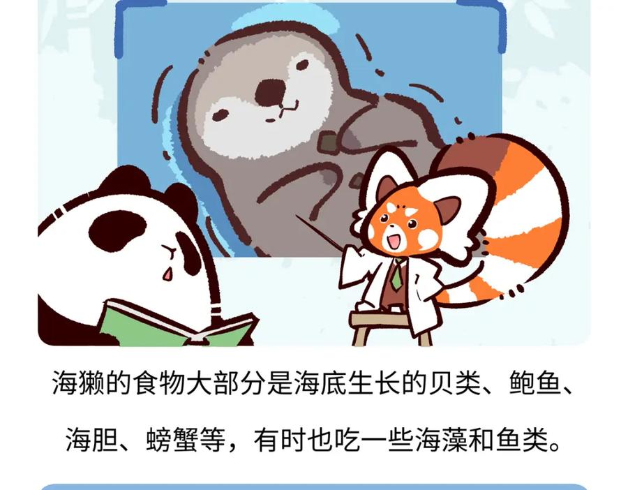《胖达x胖达》第205话 第18页