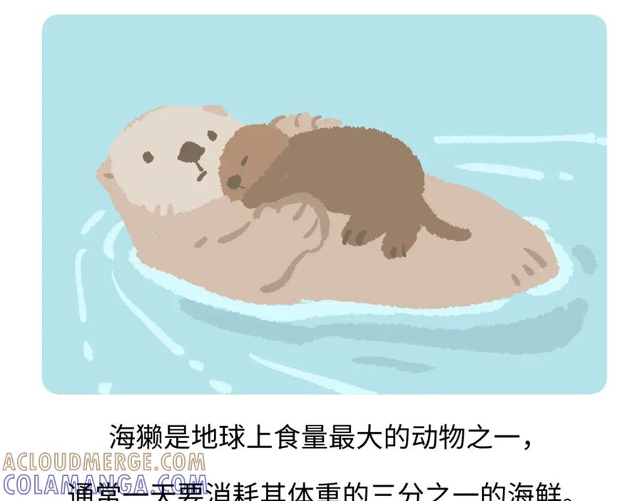 《胖达x胖达》第205话 第21页