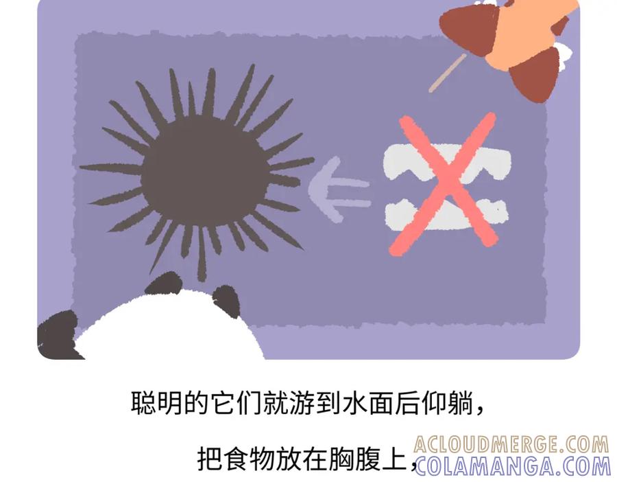 《胖达x胖达》第205话 第25页