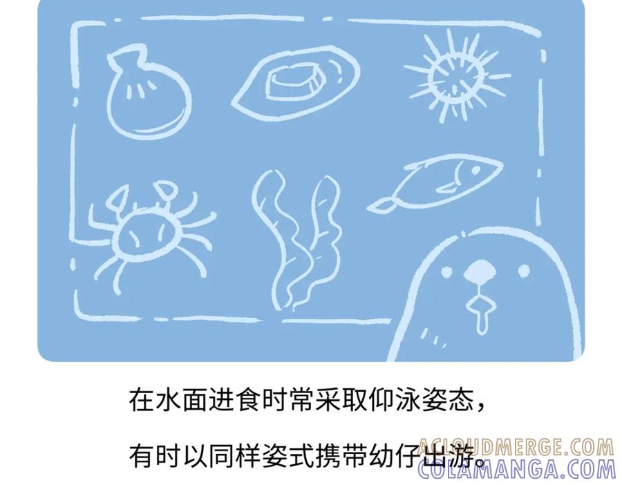 《胖达x胖达》第205话 第19页