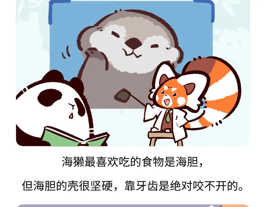 《胖达x胖达》第205话 第24页