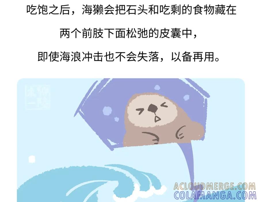《胖达x胖达》第205话 第27页