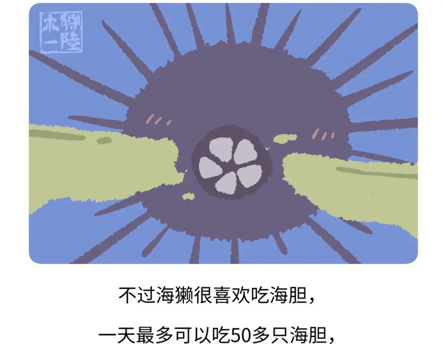 《胖达x胖达》第206话 第22页