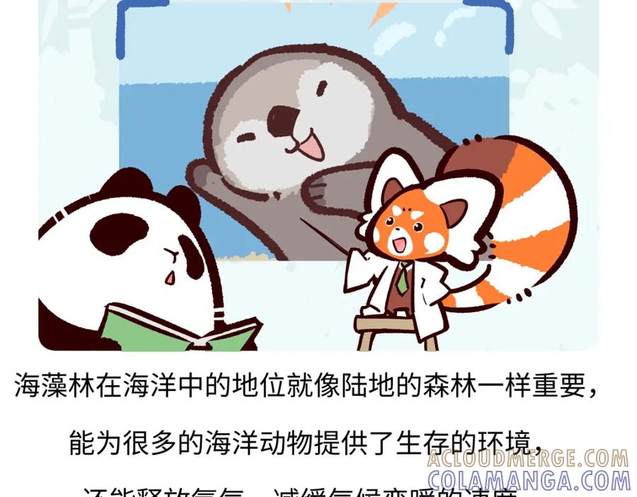 《胖达x胖达》第206话 第19页