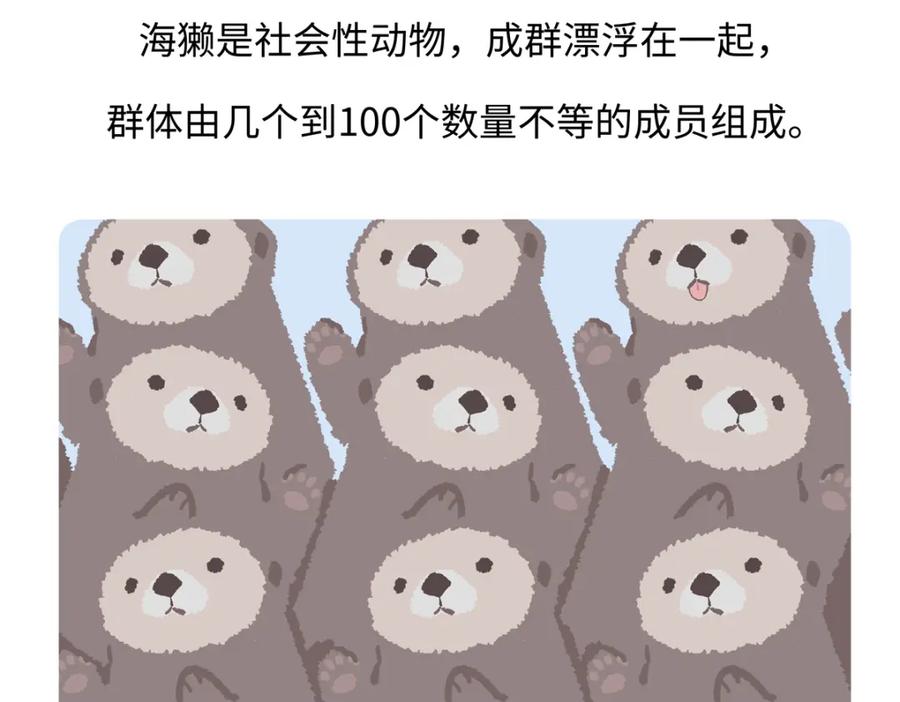 《胖达x胖达》第207话 第30页