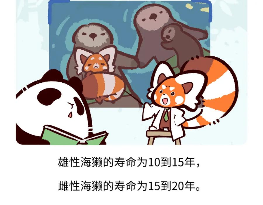 《胖达x胖达》第207话 第26页