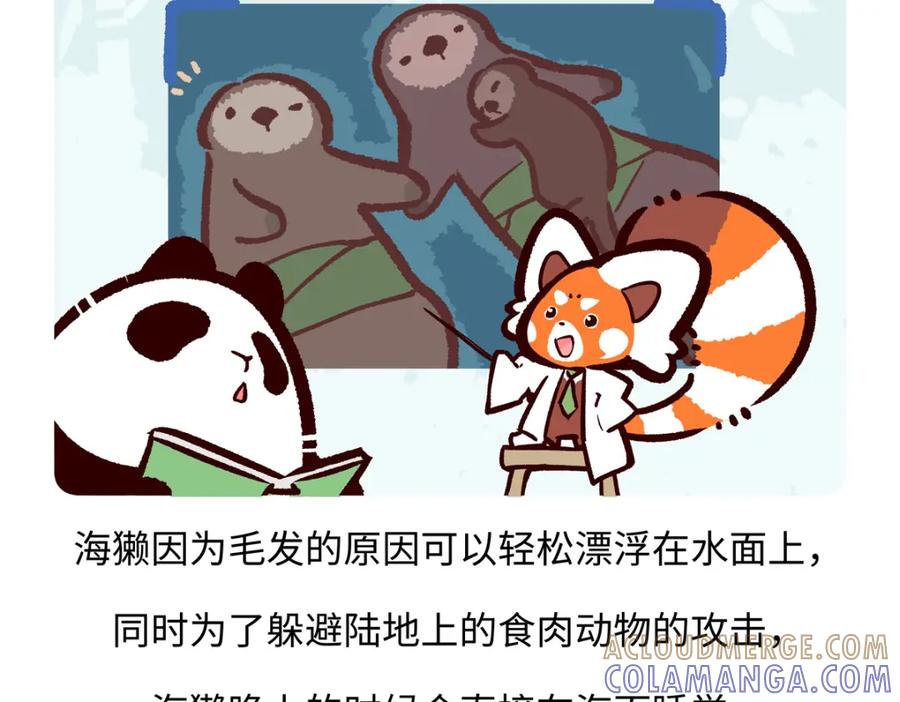 《胖达x胖达》第207话 第19页