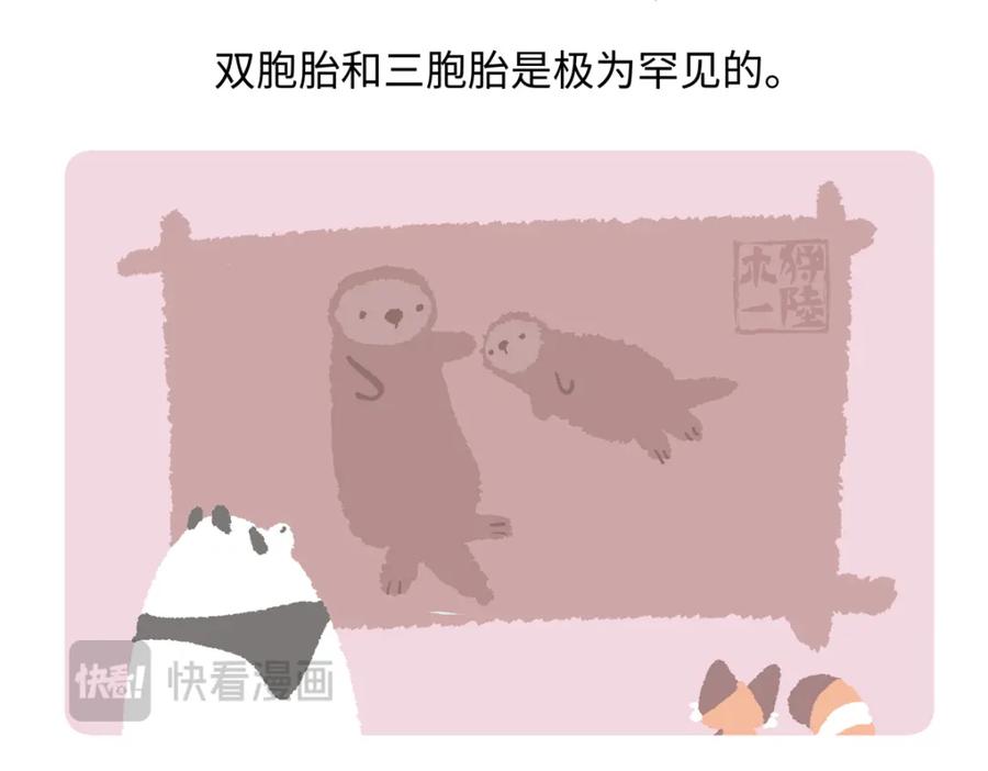 《胖达x胖达》第207话 第28页