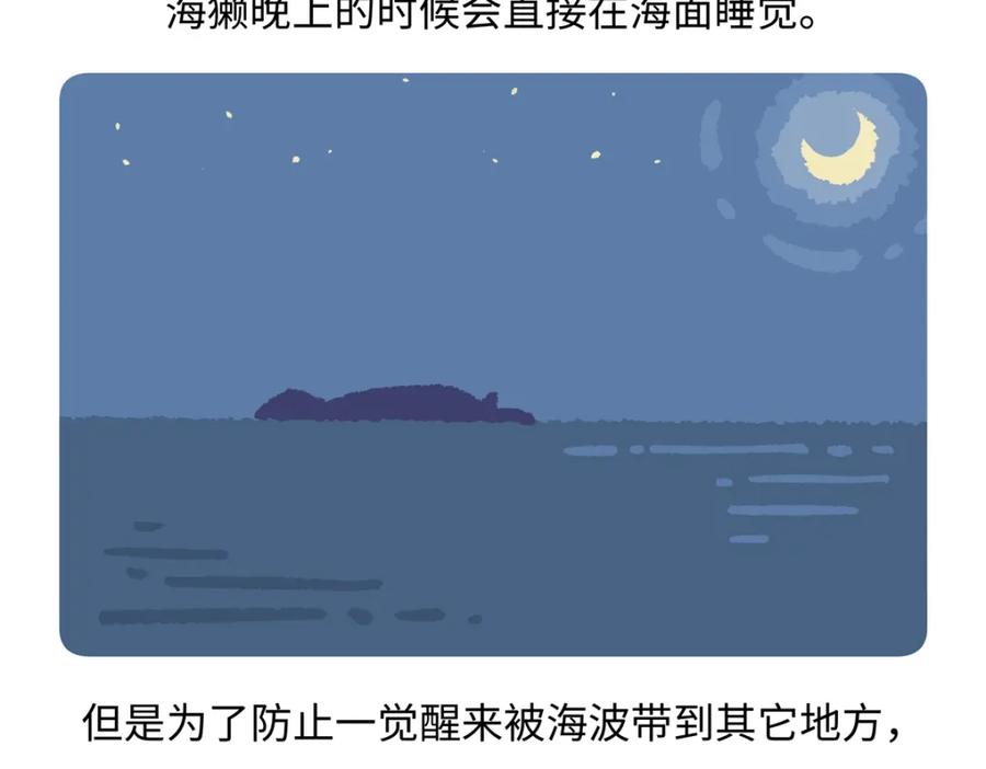 《胖达x胖达》第207话 第20页