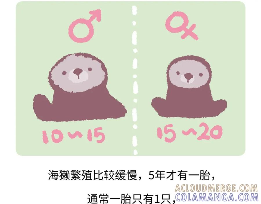 《胖达x胖达》第207话 第27页