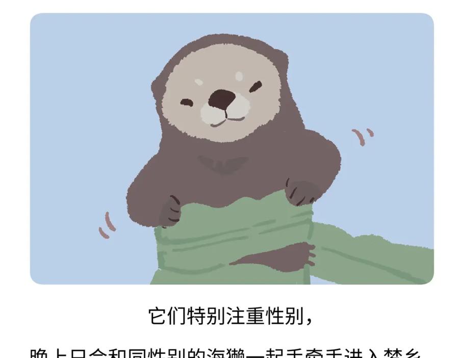《胖达x胖达》第207话 第22页