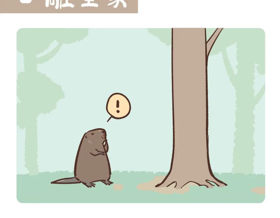 《胖达x胖达》第208话 第2页