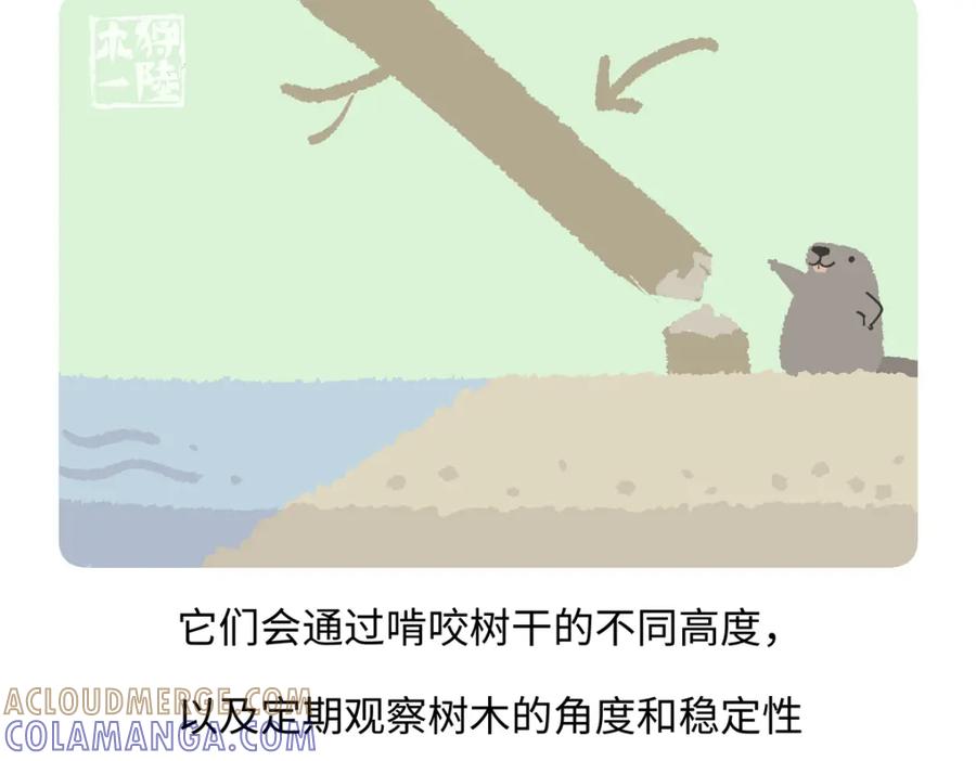 《胖达x胖达》第208话 第19页