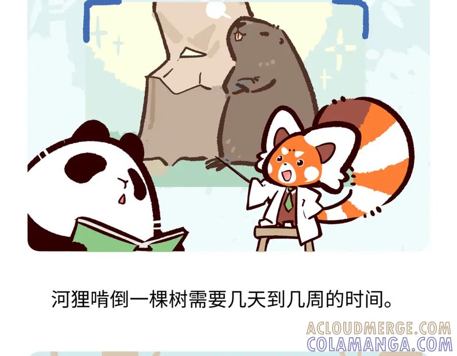 《胖达x胖达》第208话 第25页