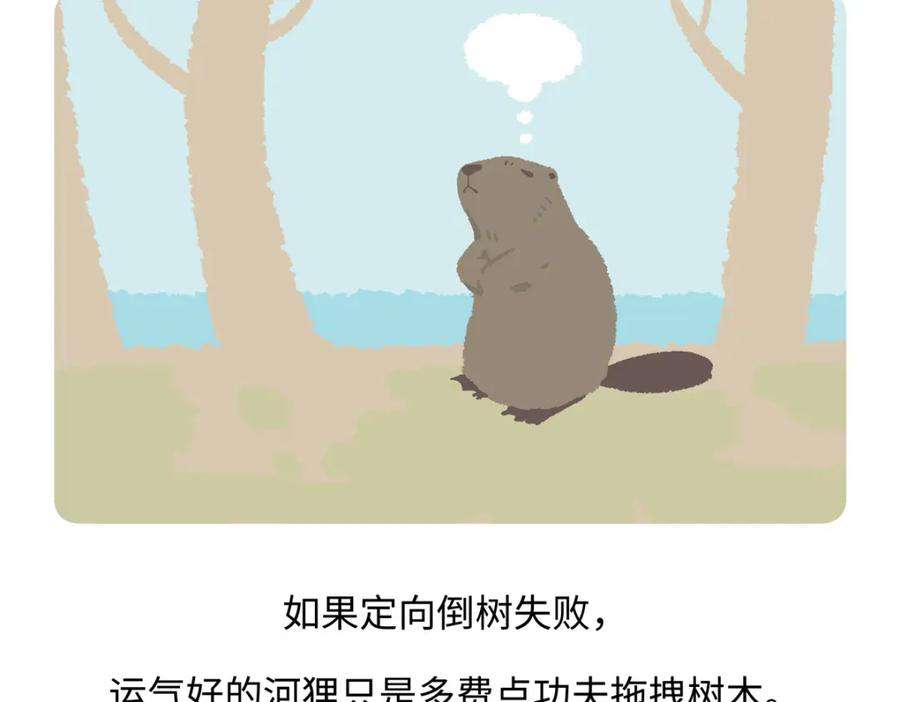 《胖达x胖达》第208话 第26页