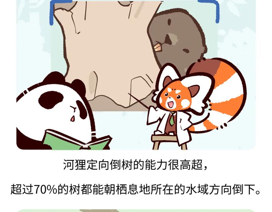 《胖达x胖达》第208话 第18页