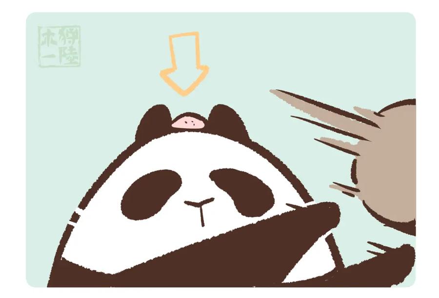 《胖达x胖达》第208话 第14页