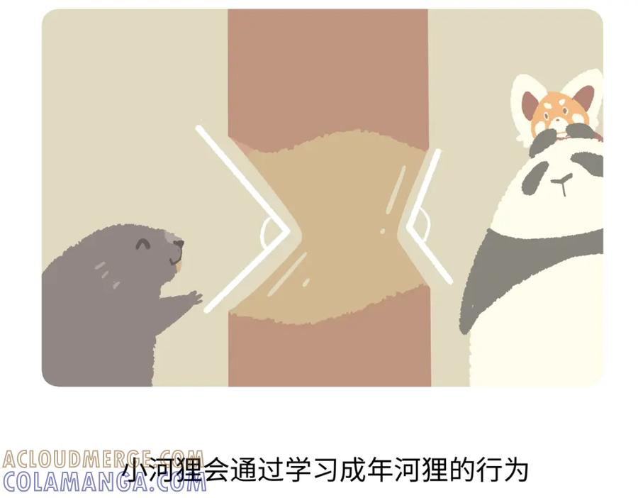 《胖达x胖达》第208话 第21页