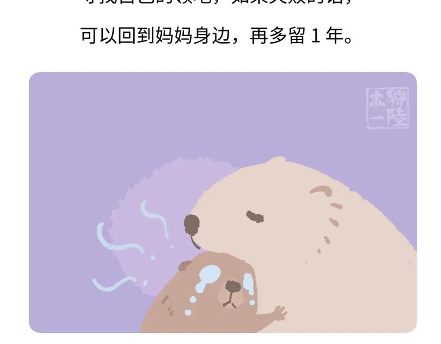 《胖达x胖达》第209话 第20页