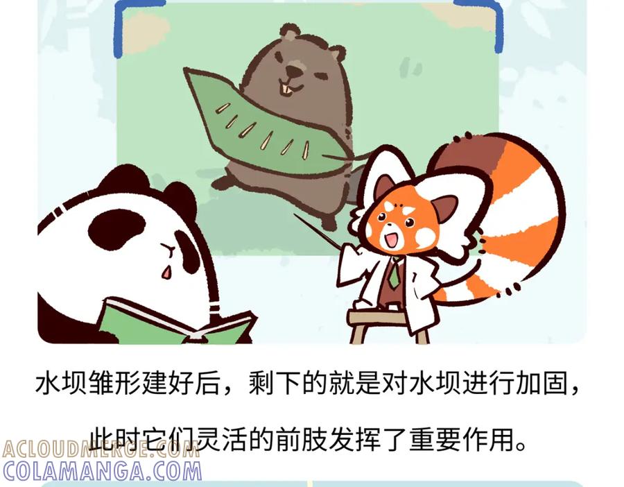 《胖达x胖达》第209话 第23页