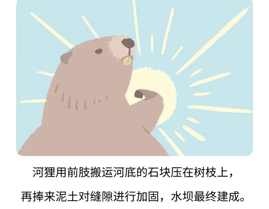 《胖达x胖达》第209话 第24页