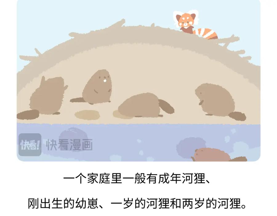 《胖达x胖达》第209话 第18页
