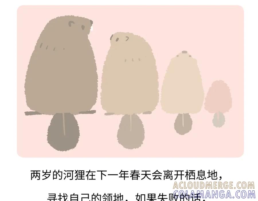 《胖达x胖达》第209话 第19页