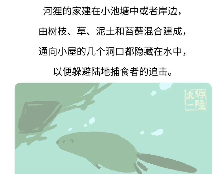 《胖达x胖达》第209话 第26页