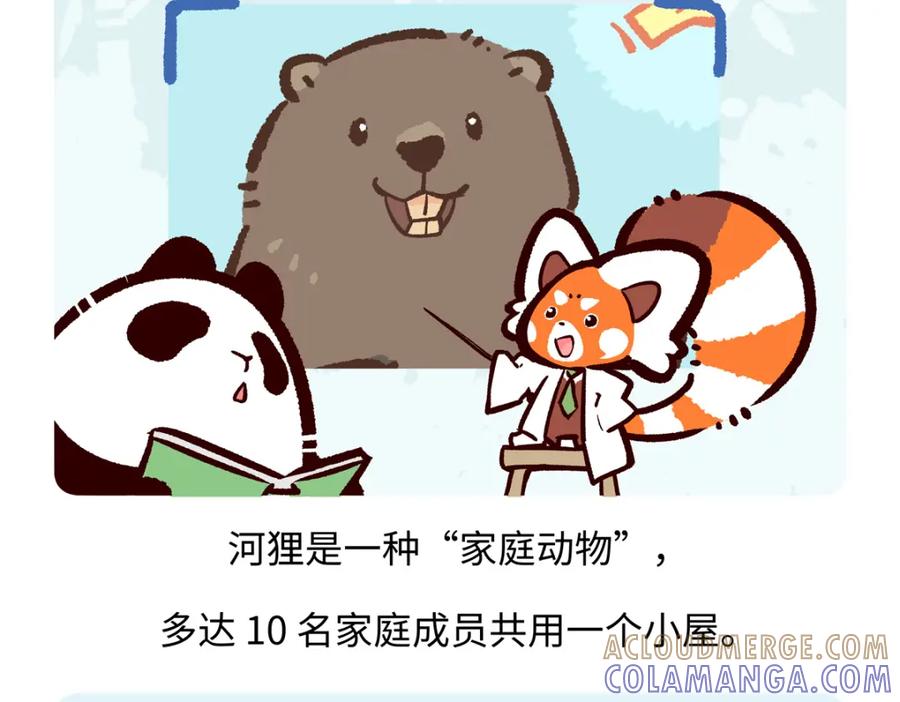《胖达x胖达》第209话 第17页