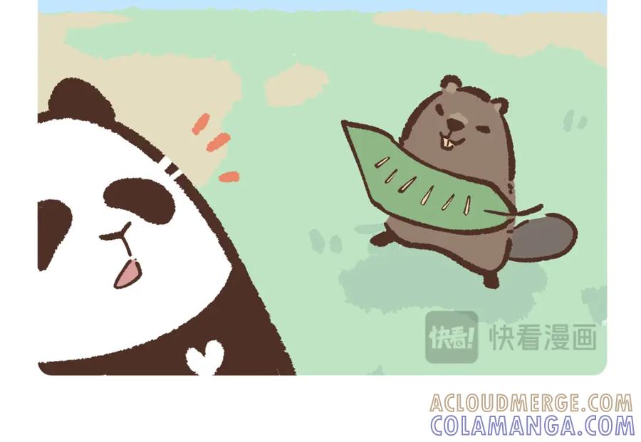 《胖达x胖达》第209话 第5页