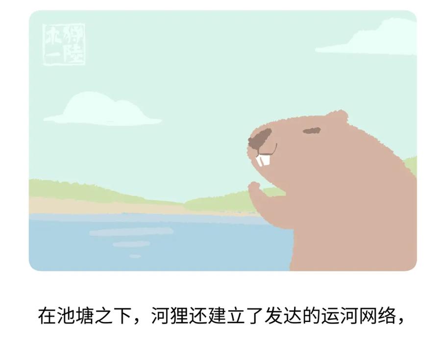 《胖达x胖达》第210话 第22页