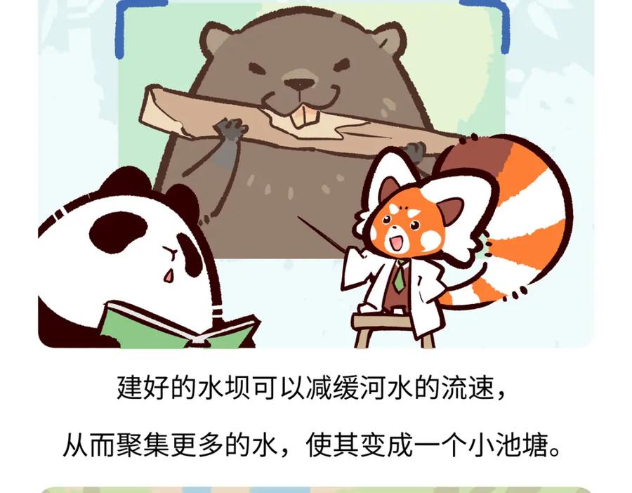 《胖达x胖达》第210话 第20页