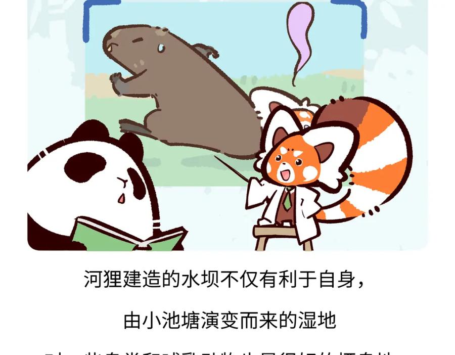 《胖达x胖达》第210话 第26页