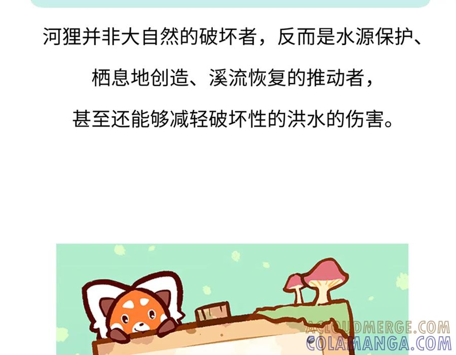 《胖达x胖达》第210话 第31页