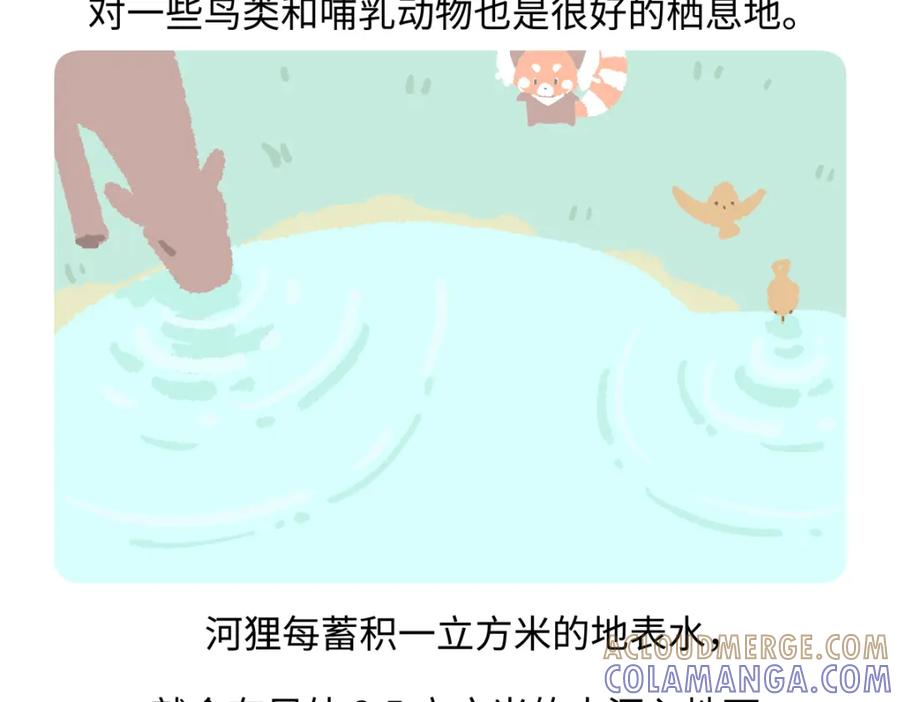 《胖达x胖达》第210话 第27页
