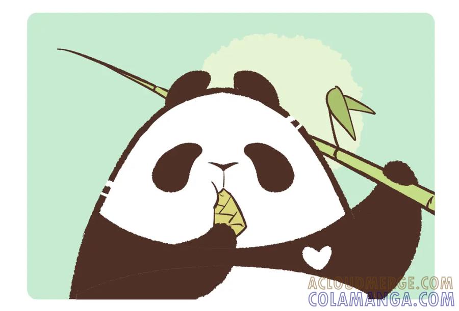 《胖达x胖达》第210话 第3页