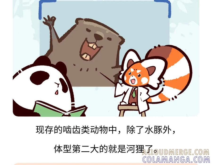 《胖达x胖达》第211话 第25页
