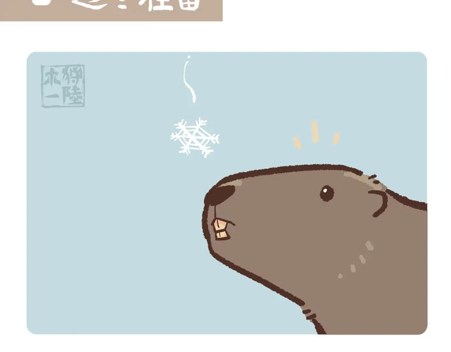 《胖达x胖达》第211话 第2页