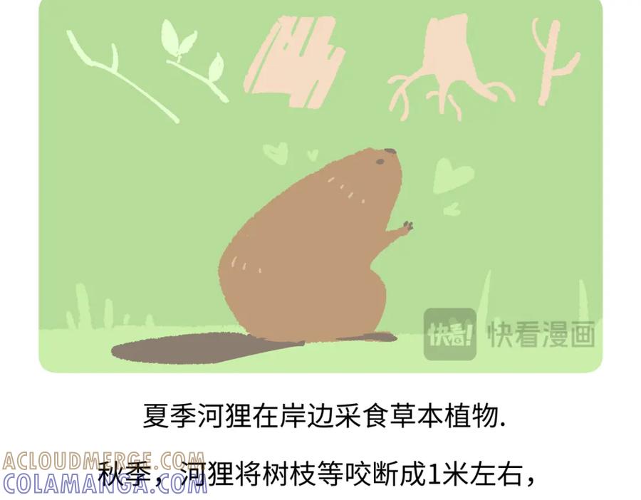 《胖达x胖达》第211话 第19页