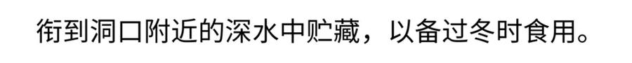 《胖达x胖达》第211话 第20页
