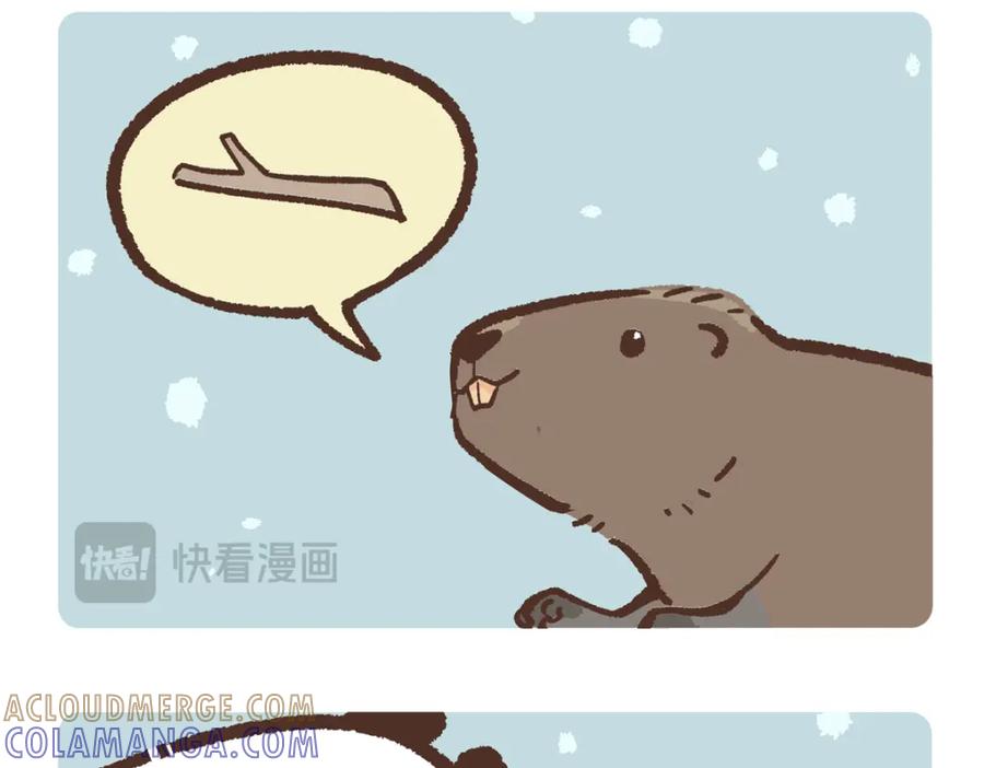 《胖达x胖达》第211话 第5页