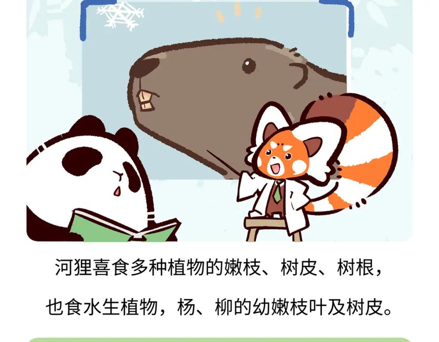 《胖达x胖达》第211话 第18页