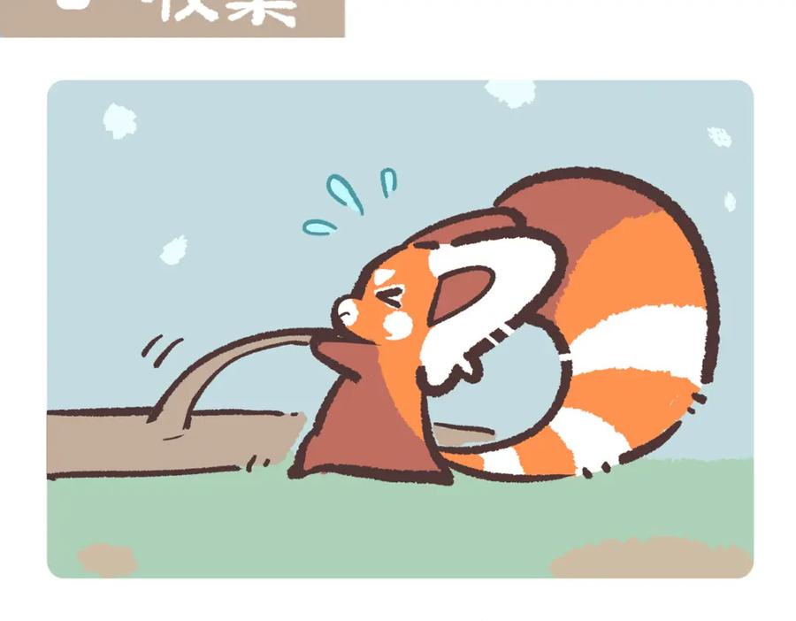 《胖达x胖达》第211话 第8页