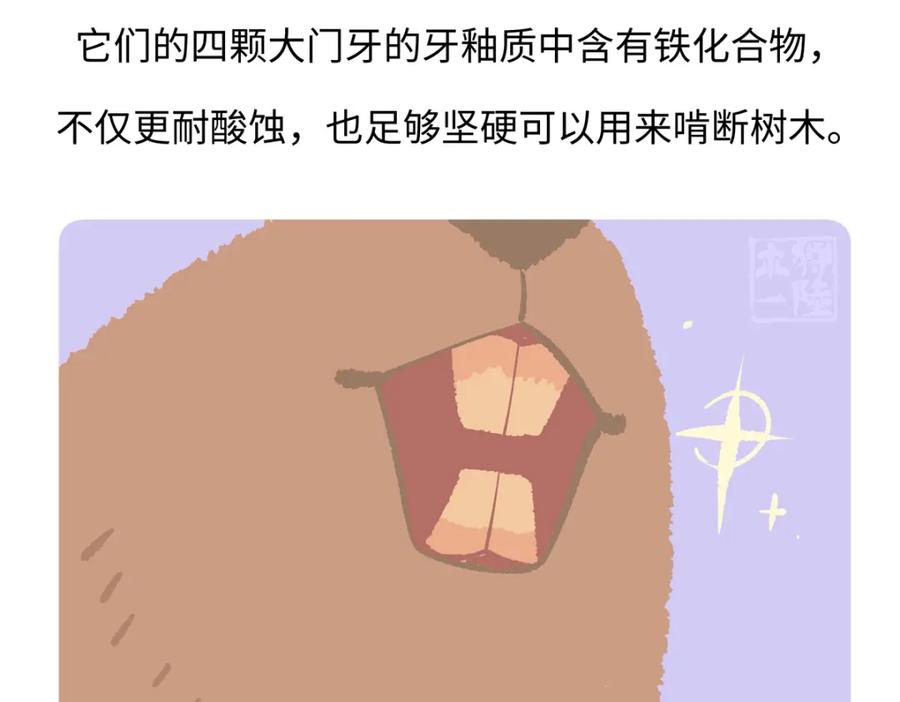 《胖达x胖达》第211话 第28页