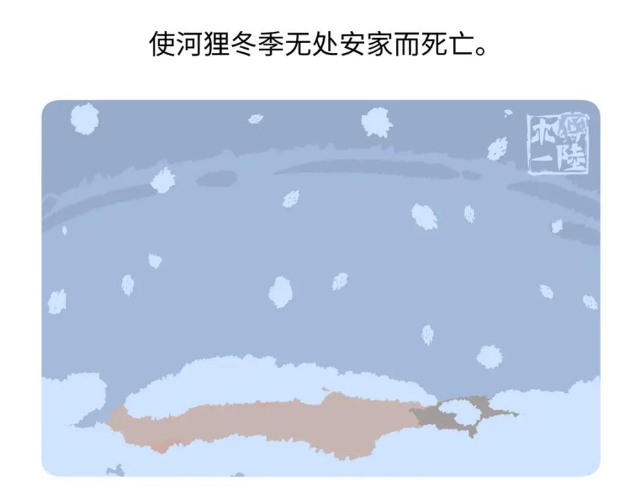 《胖达x胖达》第211话 第22页
