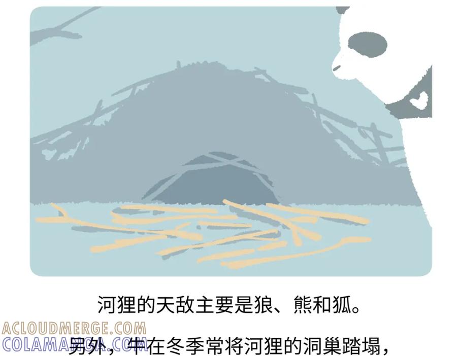 《胖达x胖达》第211话 第21页
