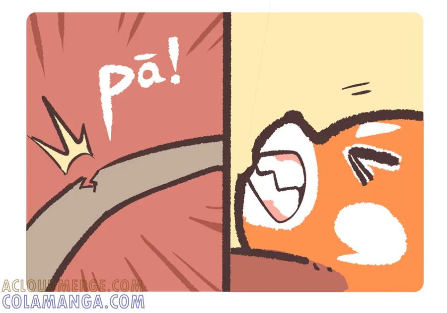 《胖达x胖达》第211话 第9页
