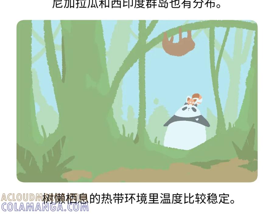 《胖达x胖达》第212话 第19页